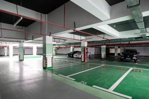 柯城篇 系统集成与数字赋能——精准供需深度打造“五化”文化场馆